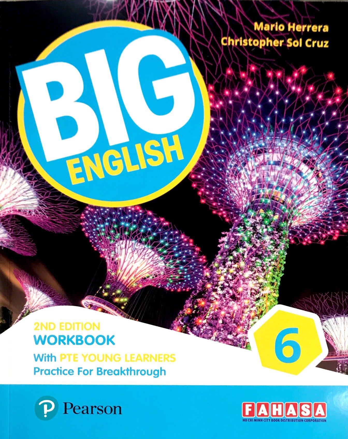 Big English 2ed PTE YL WB6 VN