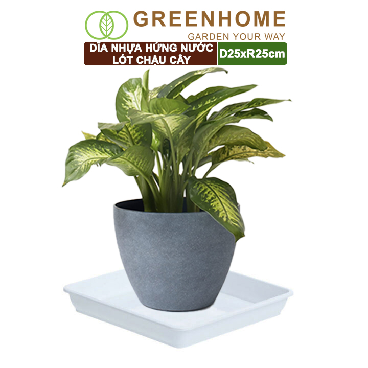 Dĩa nhựa lót chậu cây, nhựa nguyên sinh, bền, đẹp | Greenhome