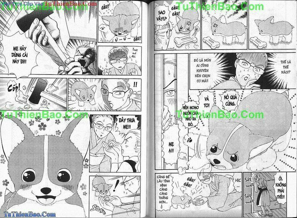 chó con mo mo chapter 1 49