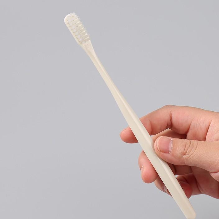 Combo 10 bàn chải đánh răng Daily Tooth Brush Set Nhật Bản