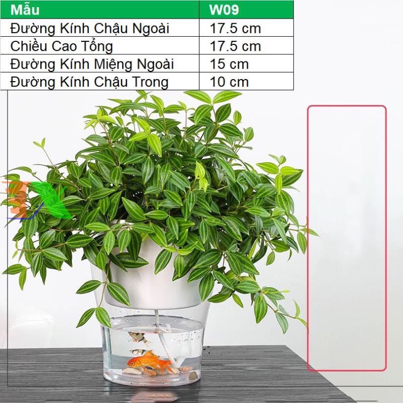 Chậu 2 Lớp Trồng Hoa Cây Cảnh Để Bàn, Bể 2 Đáy Chứa Nước Nuôi Cá, Cốc Trồng Cây Tự Hút Nước W09