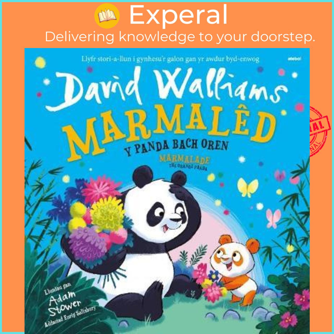 Sách - Marmaled - Y Panda Bach Oren / Marmalade - The Orange Panda by David Walliams