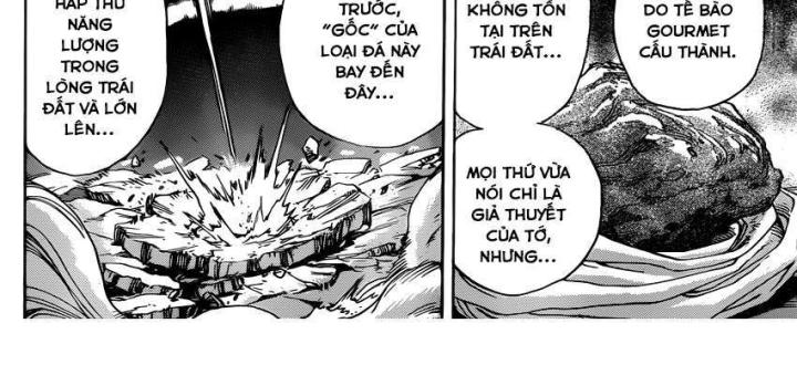 thánh tỏi sành ăn chapter 259 19