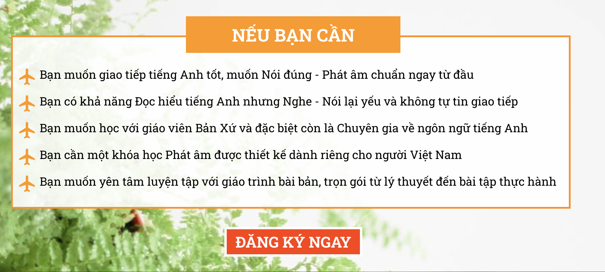 Khoá học Luyện phát âm tiếng anh cùng chuyên gia