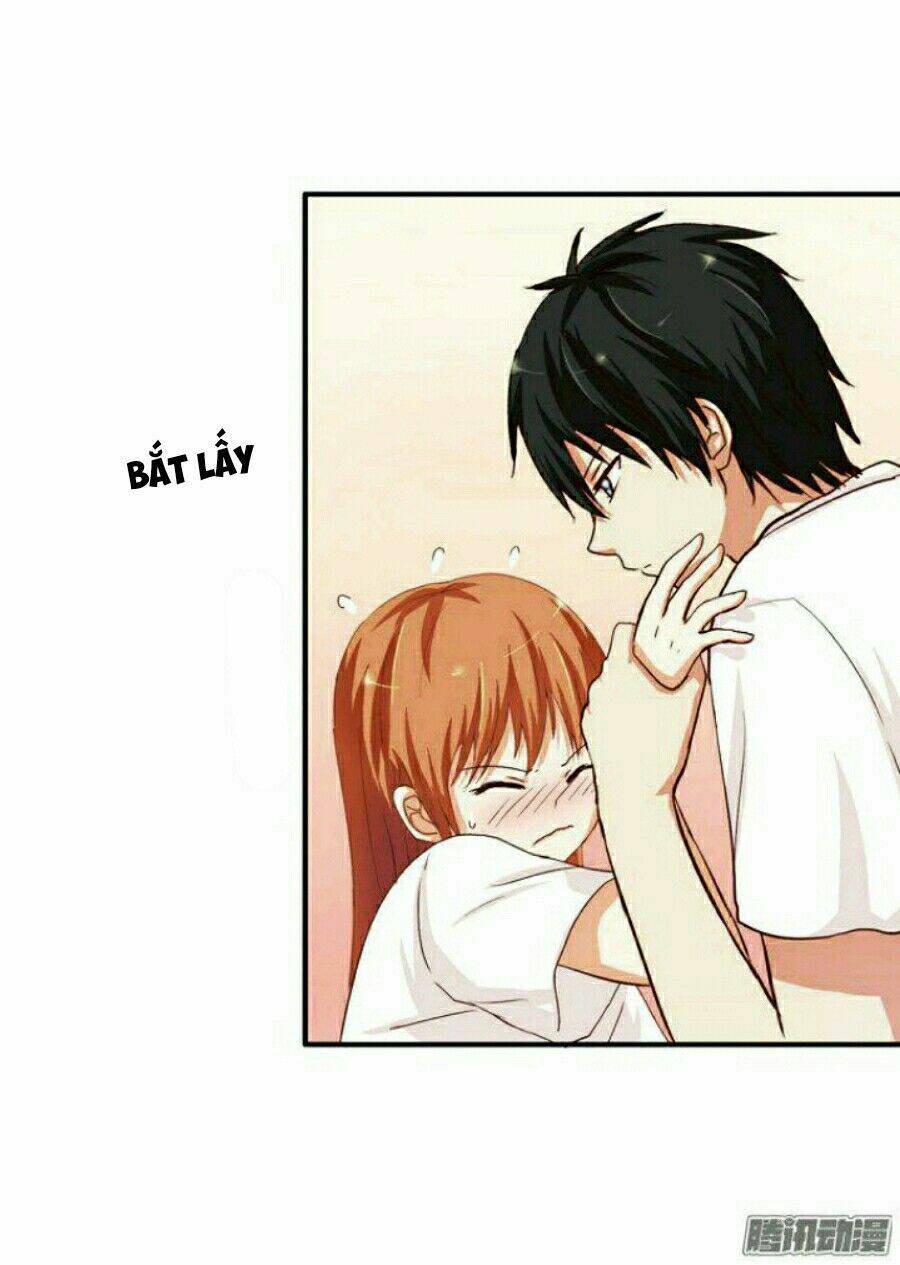 mối tình đầu có chút ngọt chapter 19 15