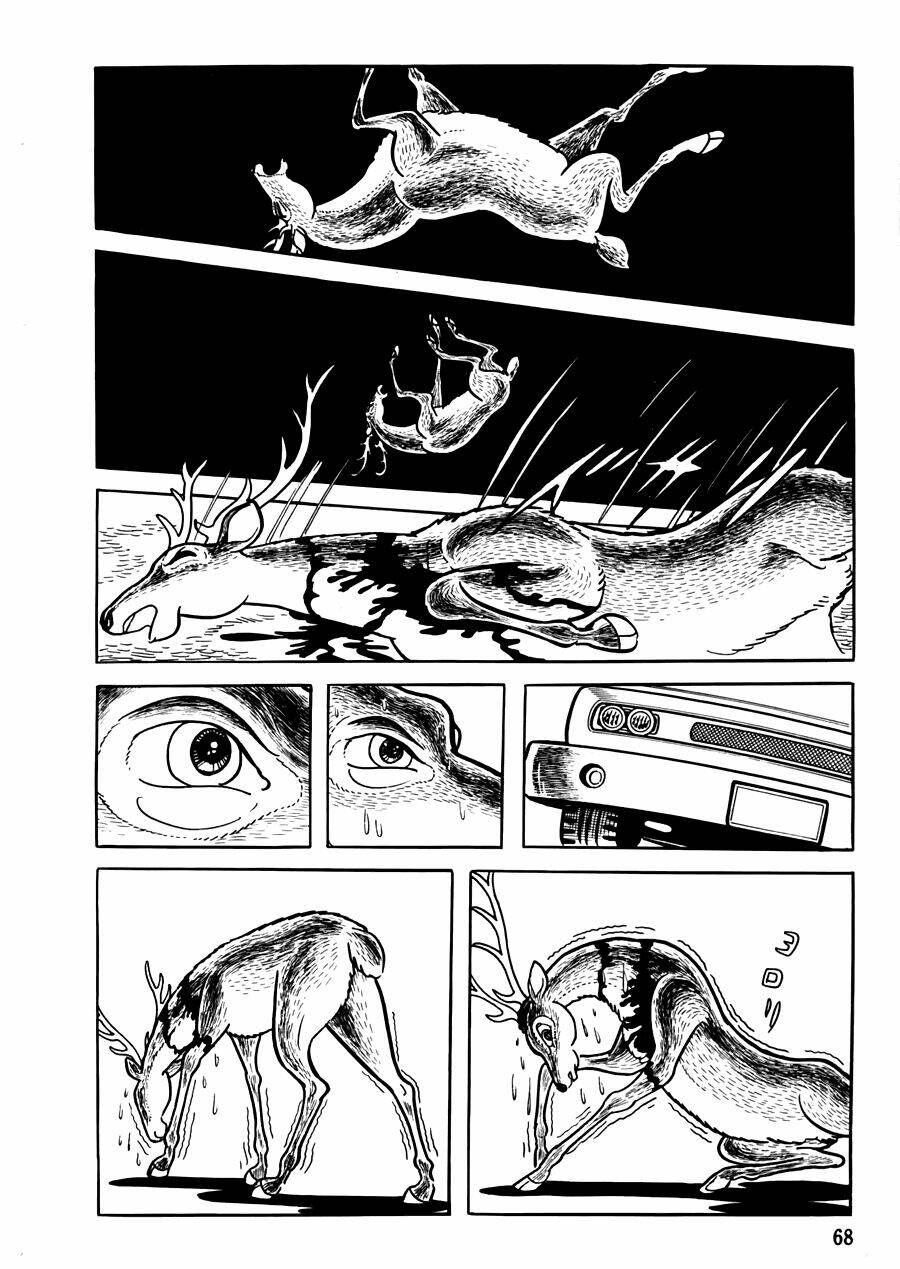 the crater chapter 10 4