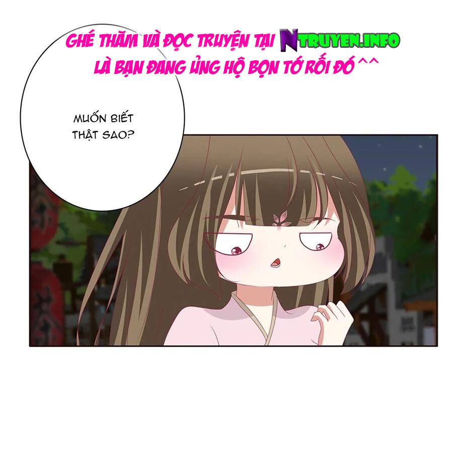 thông linh phi chapter 638 17