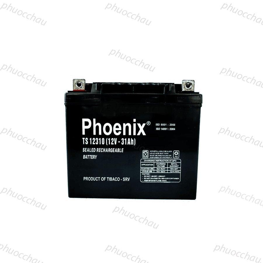 Bình Ắc Quy Khô PHOENIX TS12310 12V-31AH Dùng Cho UPS, Loa Kéo, Lưu Điện