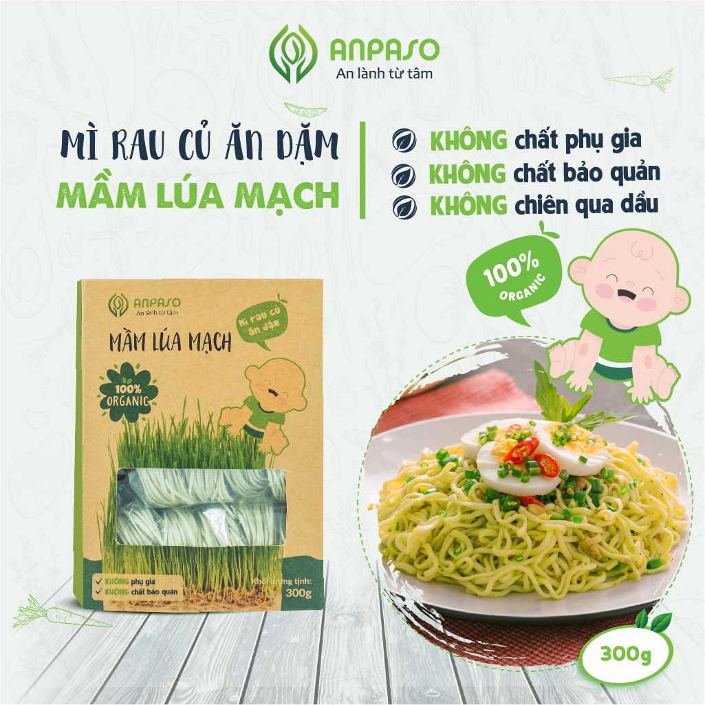 Mì Rau Củ Ăn Dặm Vị Mầm Lúa Mạch Organic Anpaso 300g