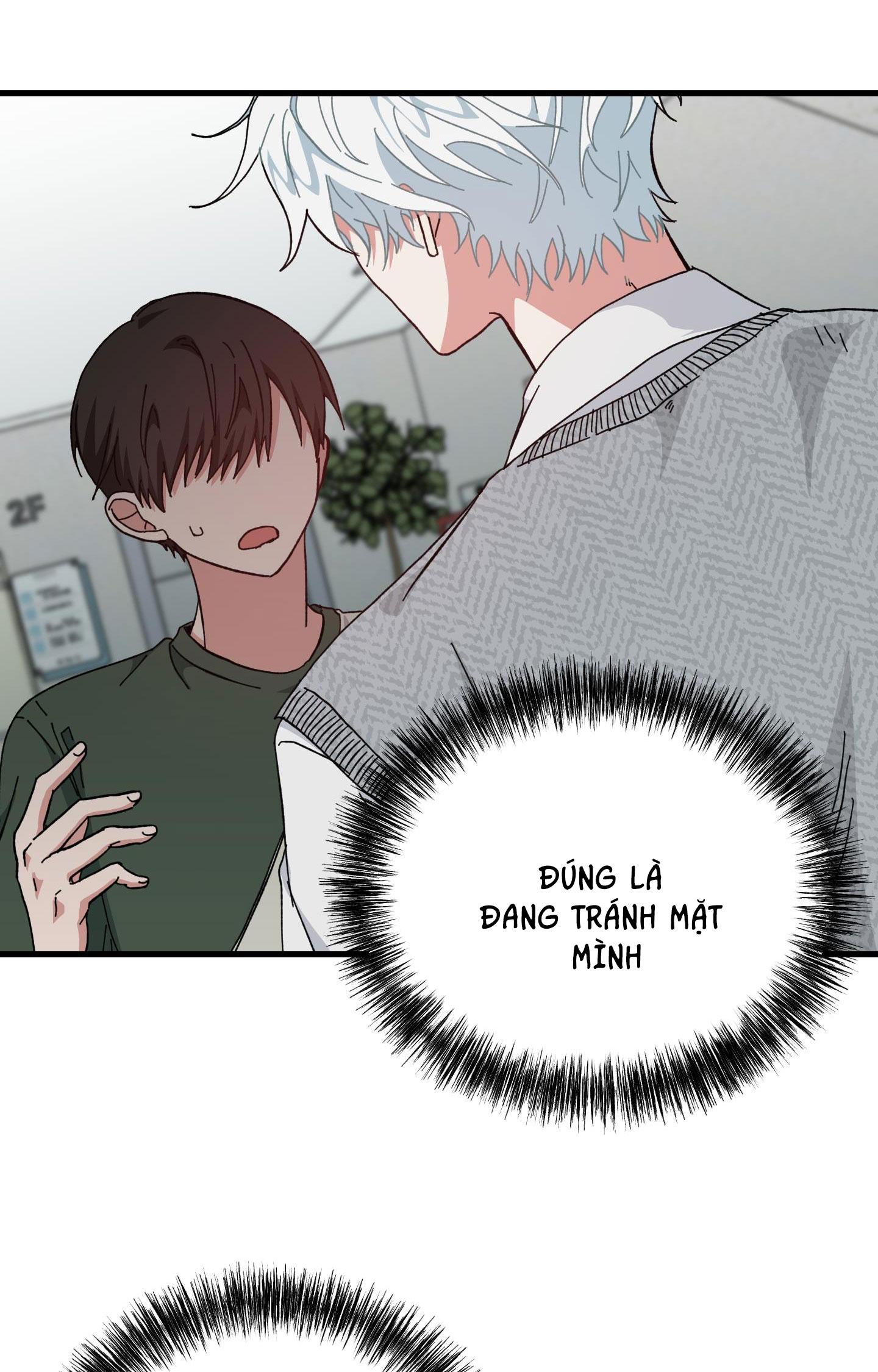 yêu tôi đi, thần hộ mệnh chapter 19 2