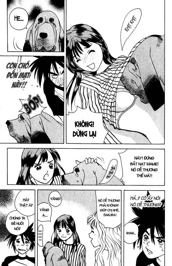 parallel chapter 17 12