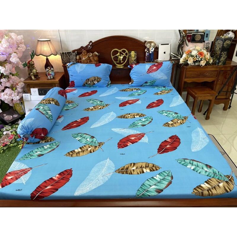 Drap thun Hàn quốc