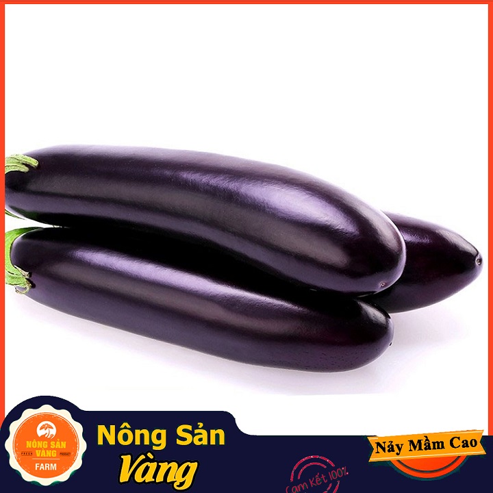 Hạt giống Cà Tím Quả Dài Năng Suất Cao - Nông Sản Vàng