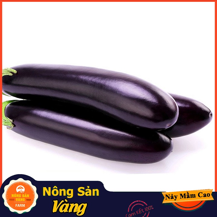 Hạt giống Cà Tím Quả Dài Năng Suất Cao ( Gói 1 Gram ) - Nông Sản Vàng