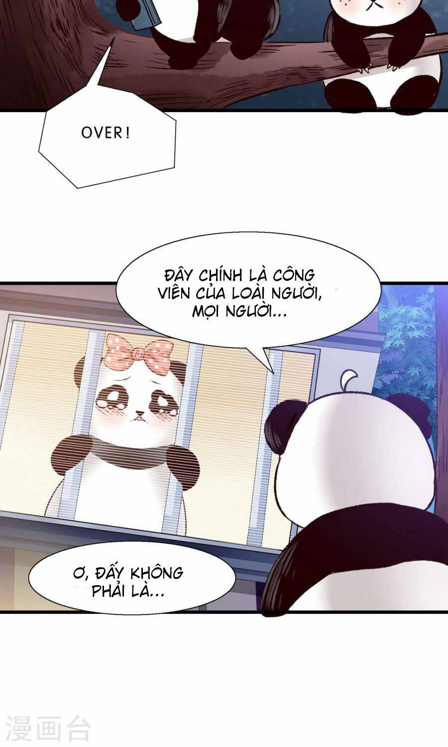 tôi bị gấu trúc nhìn trúng rồi chapter 10 28