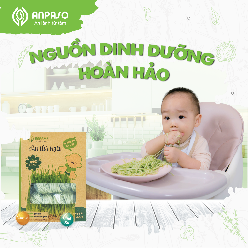 Mì Rau Củ Ăn Dặm Vị Mầm Lúa Mạch Organic Anpaso 300g