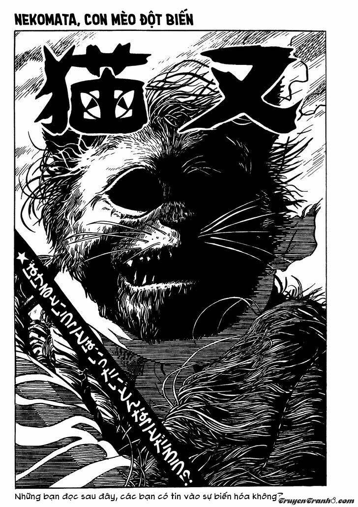 3 street of mysteries chapter 10 2