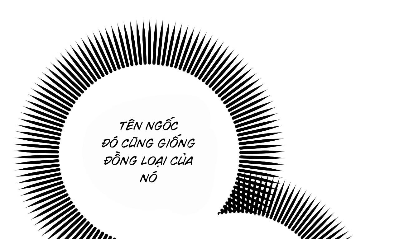 đàn thỏ của habibi chapter 56 252