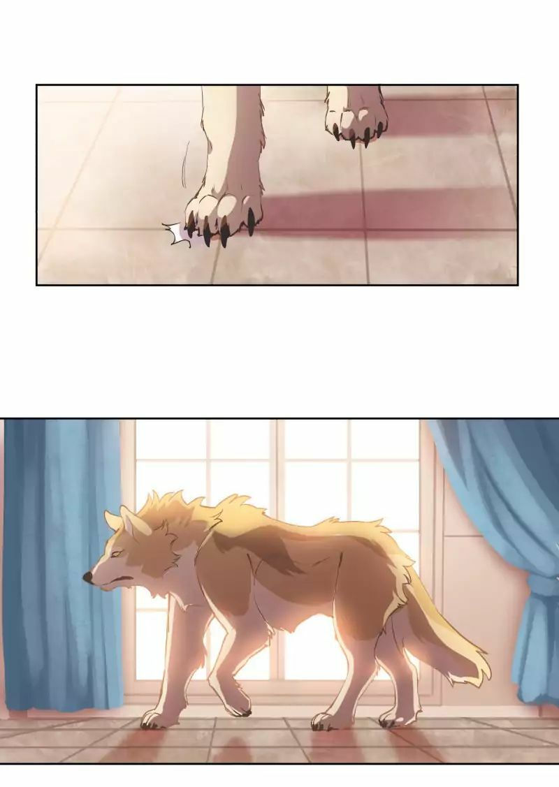 lumine - cội nguồn ánh sáng chapter 41 27