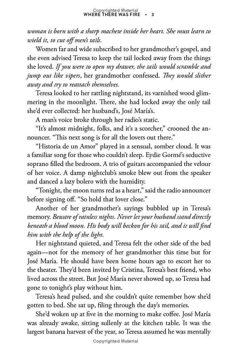 Sách ngoại văn: Where There Was Fire