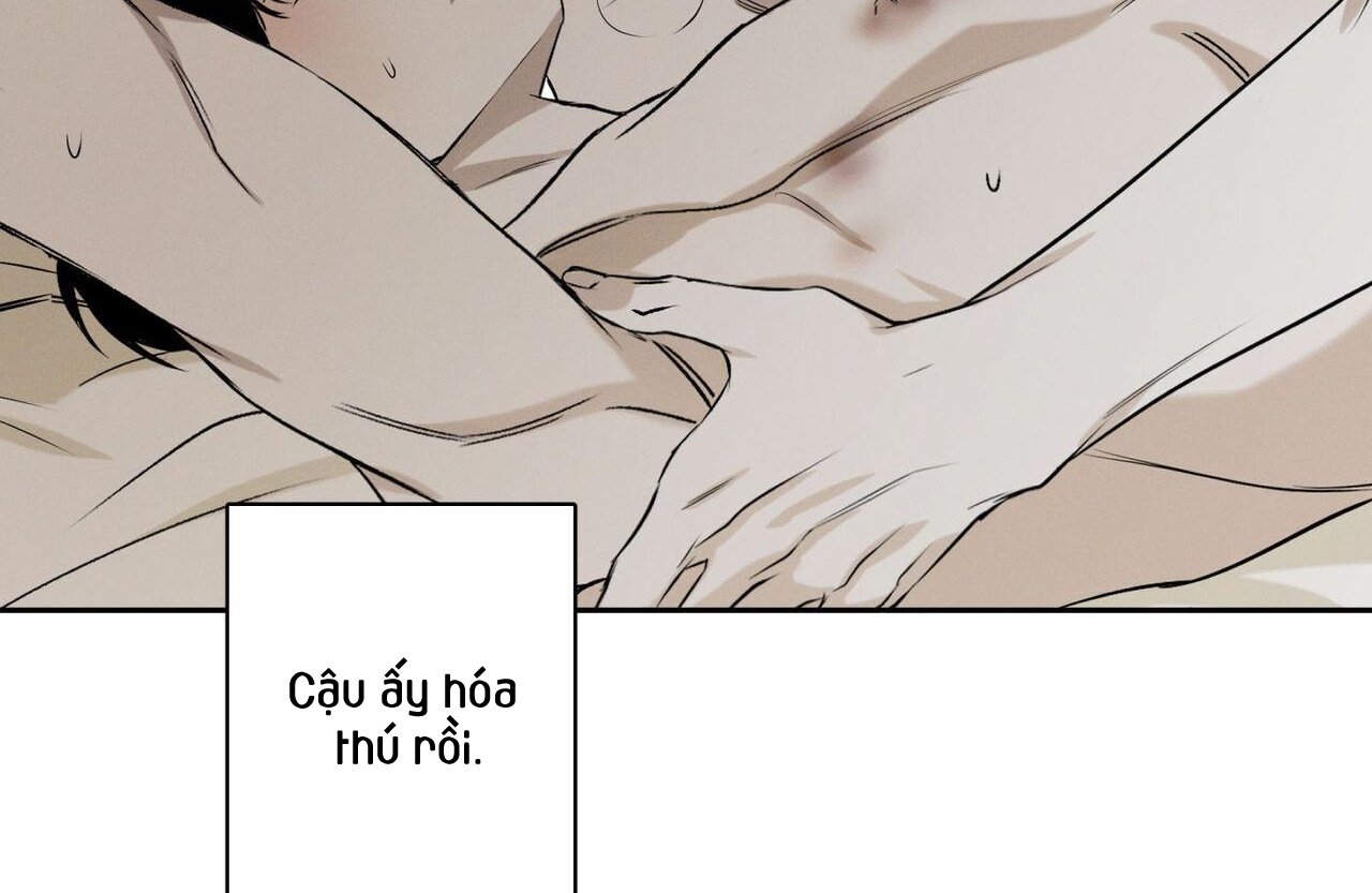 chàng giao pizza và gold palace chapter 48 61