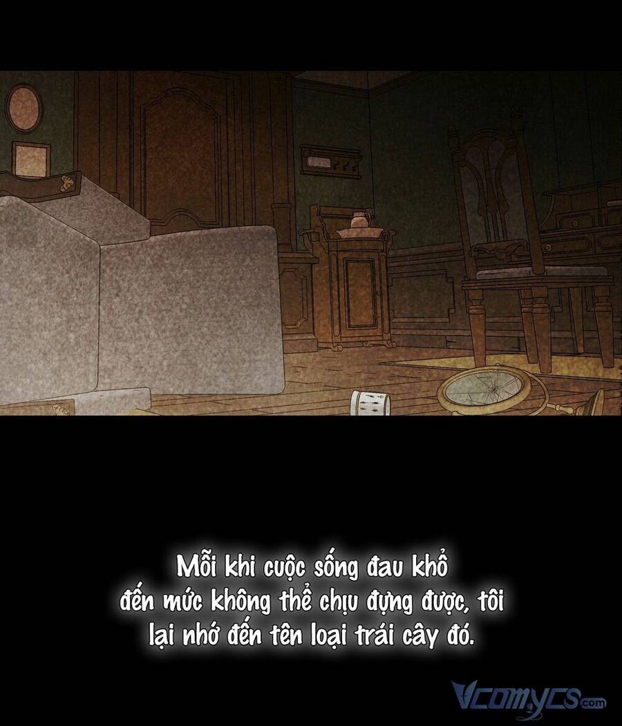 lời nói dối vĩnh cửu của người chapter 18 19