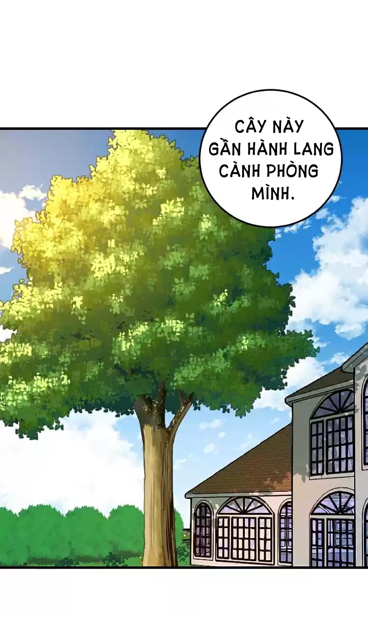 tôi là tiểu thư của gia đình này chapter 5 50