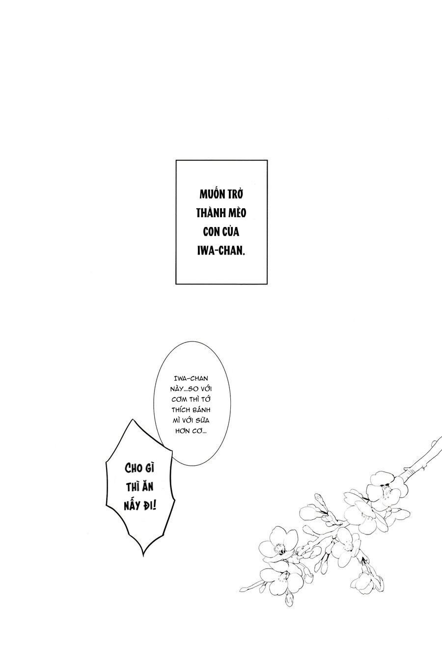 tuyển tập haikyuu dj by dammei bl chapter 5 29