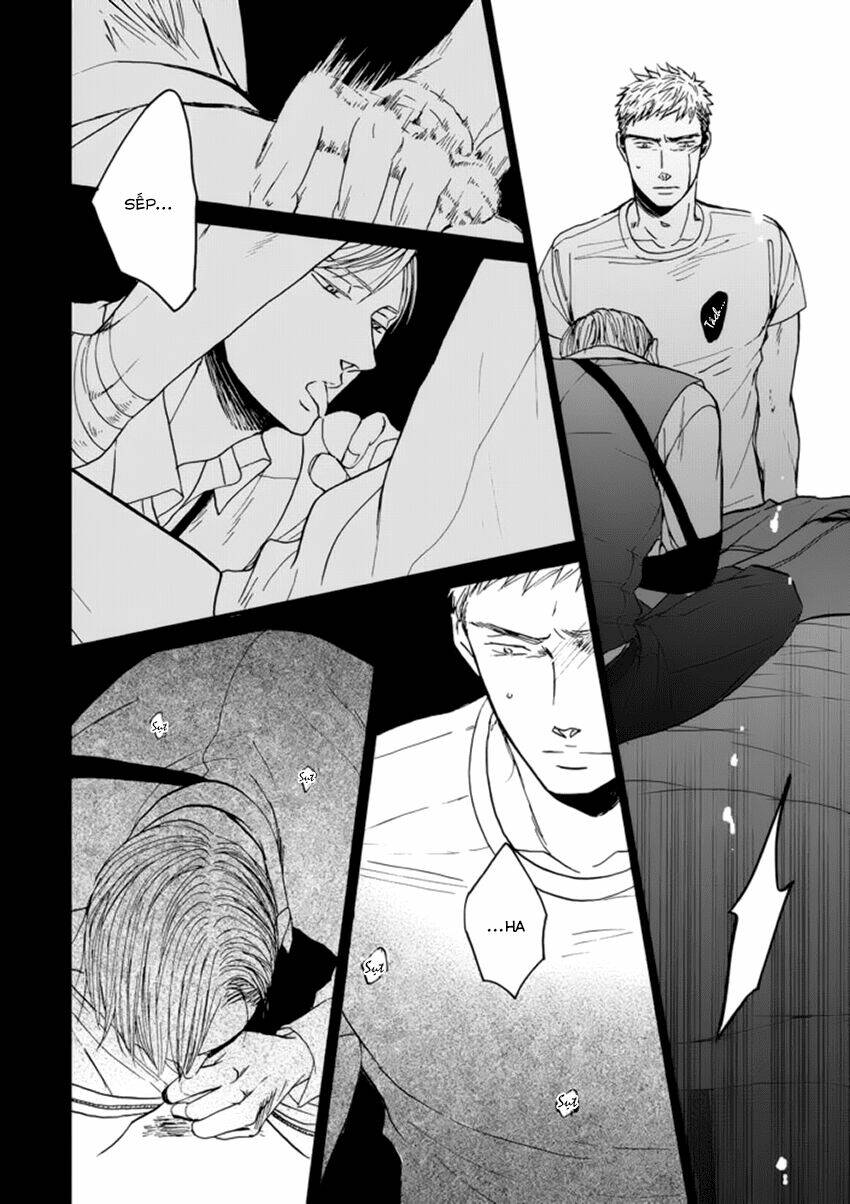 saezuru tori wa habatakanai chapter 22 31