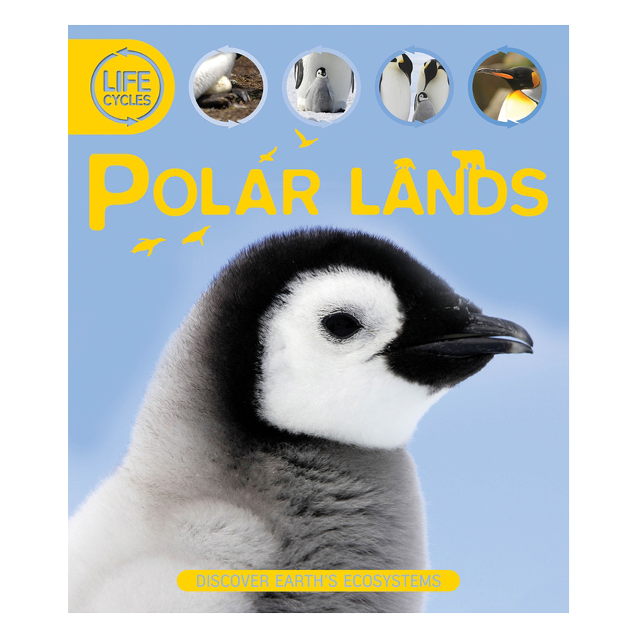 Life Cycles: Polar Lands