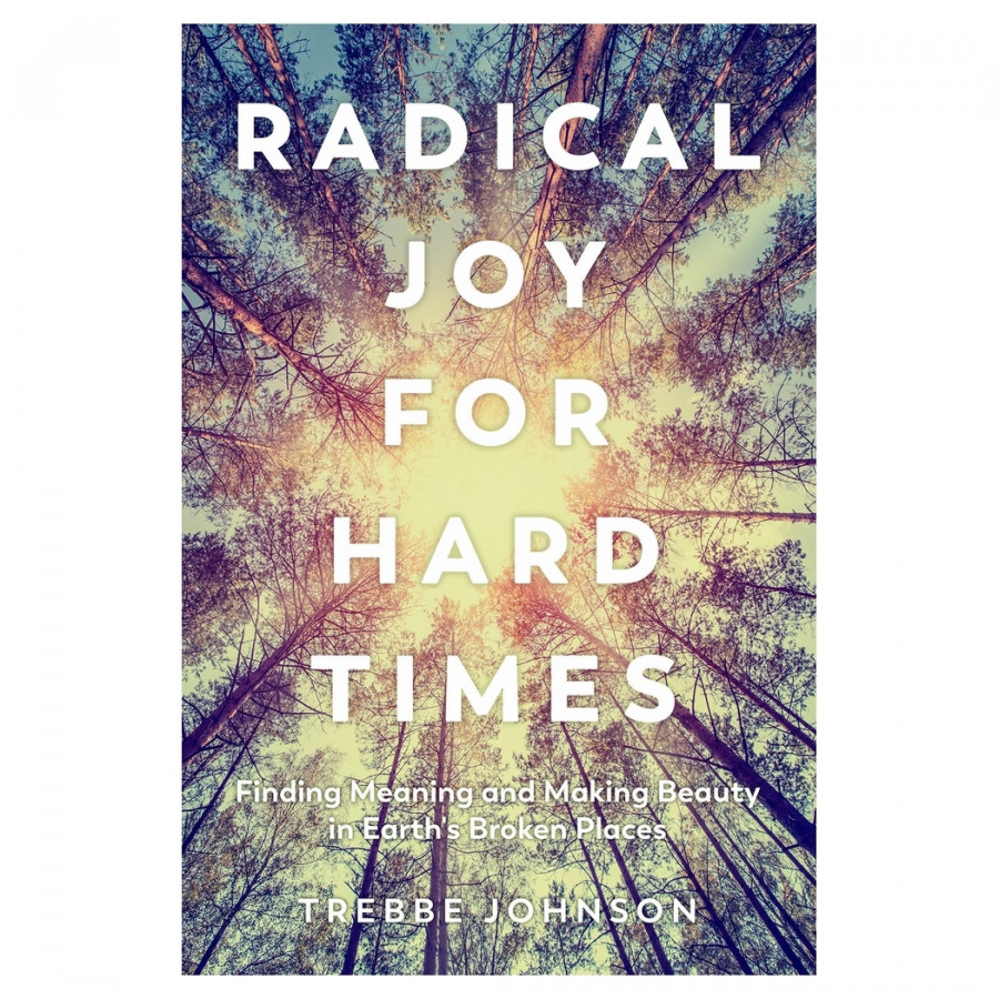 Radical Joy For Hard Times