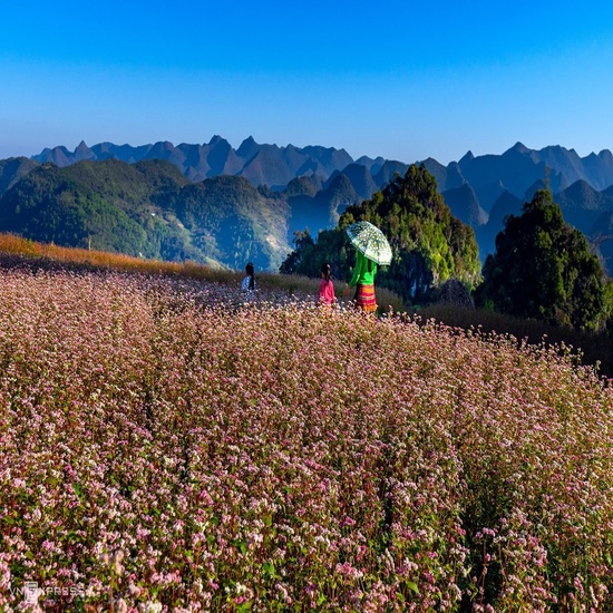 Đông Bắc: Hà Giang - Lũng Cú - Đồng Văn - Mã Pí Lèng - Cột Cờ Lũng Cú