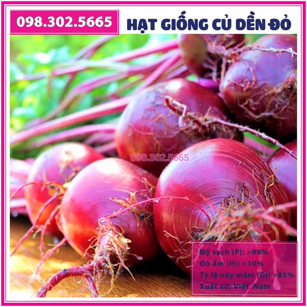 Hạt giống củ dền đỏ F1 gói 5gam