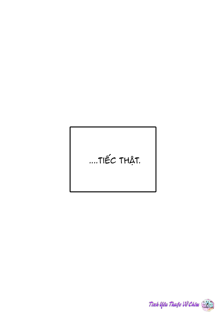 đối tác an toàn chapter 7 31