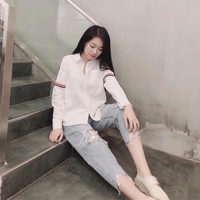Áo sơ mi viền sọc MH