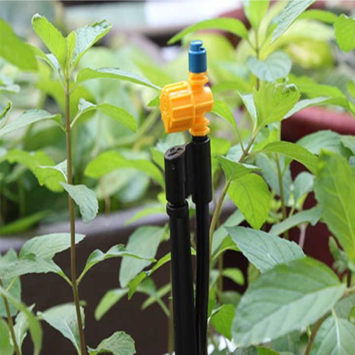 Cây cắm phun mưa