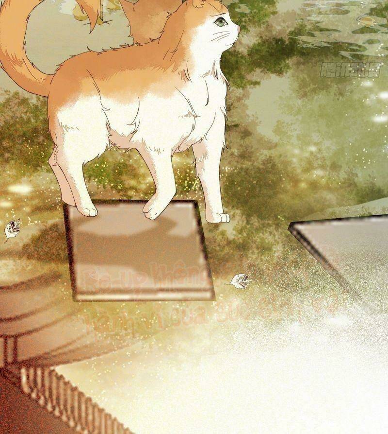 sát thủ vương phi không dễ chọc chapter 38 43