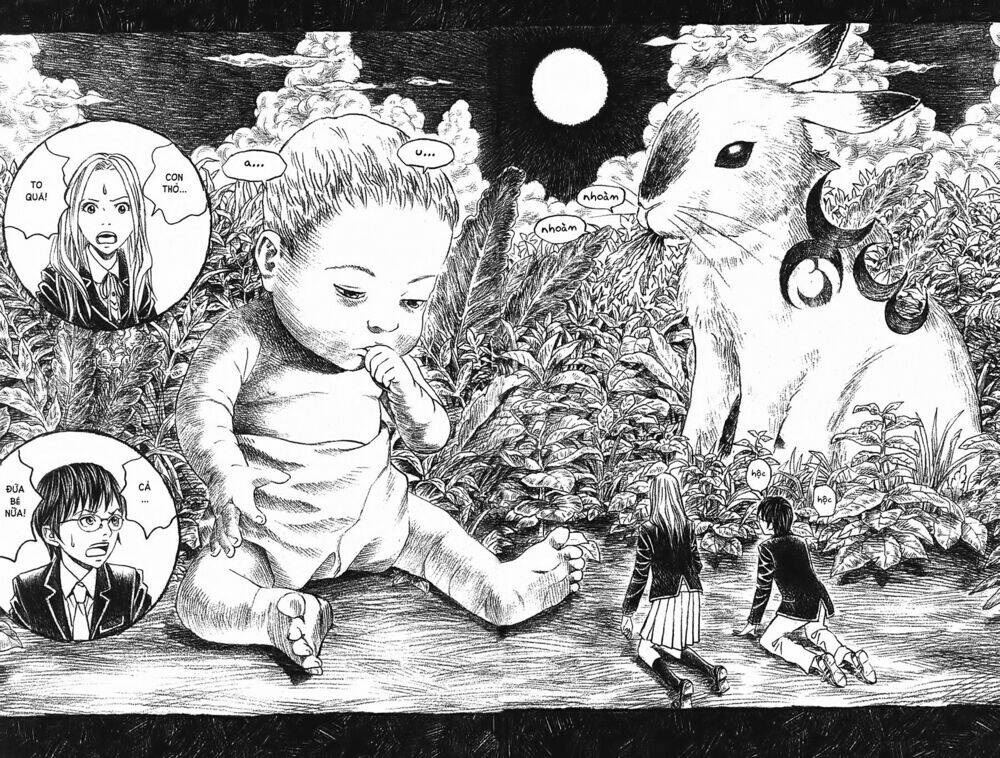 ảo ảnh picasso chapter 2 25