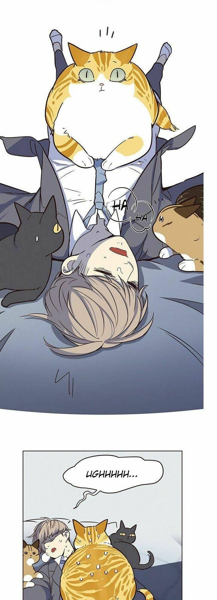 biến thân thành mèo chapter 8 24