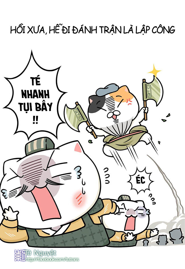 nếu lịch sử là một bầy mèo chapter 12 17