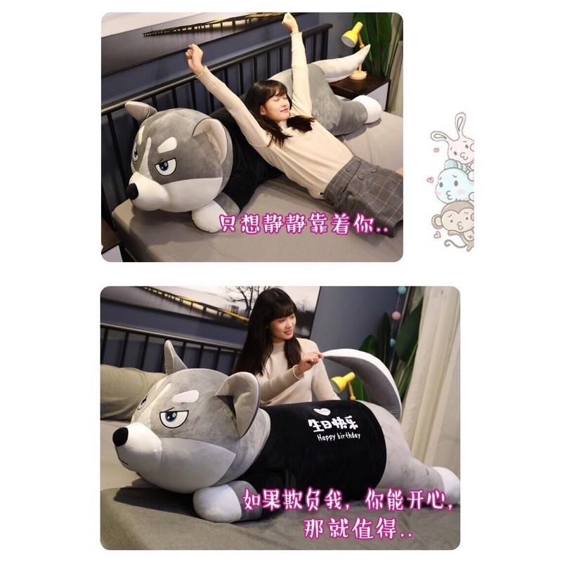 Gấu bông Chó husky, chó ngáo size 1M5 Siêu to khổng lồ.