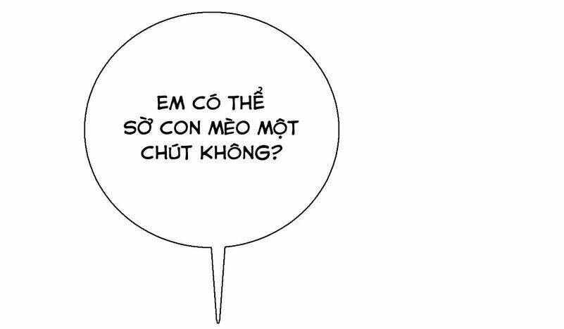 cô dâu gả thay của tổng tài chapter 62 6