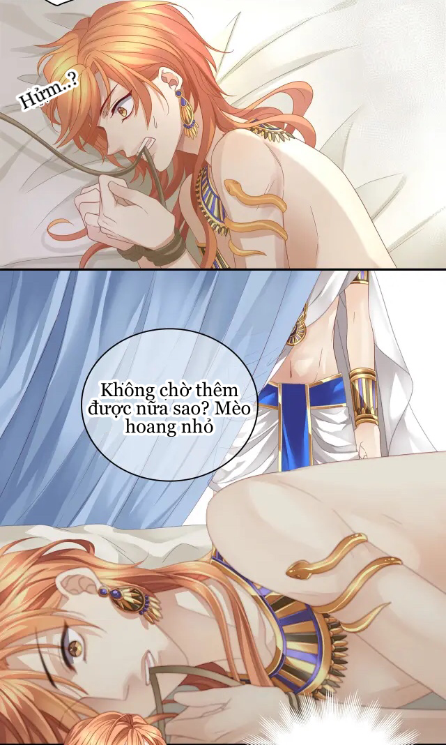 nàng và bảy người tình chapter 2 3