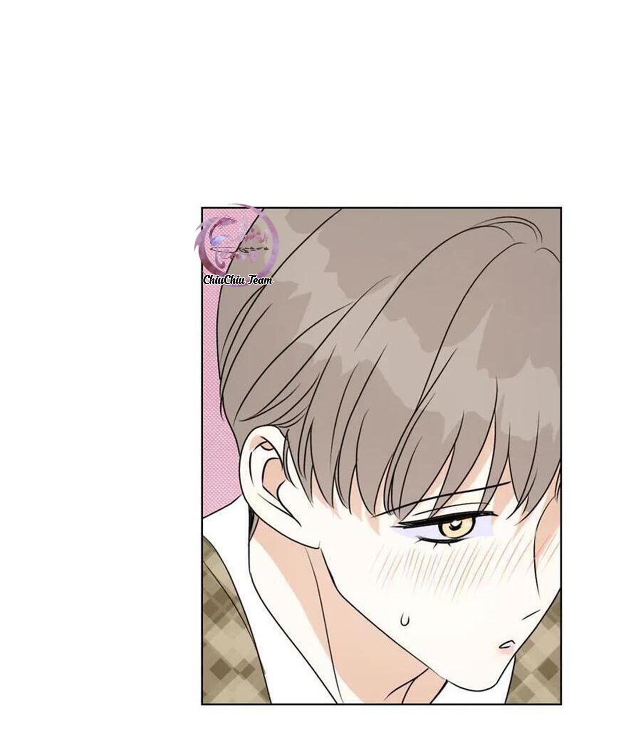 anh trai rẻ tiền của tôi chapter 63 12