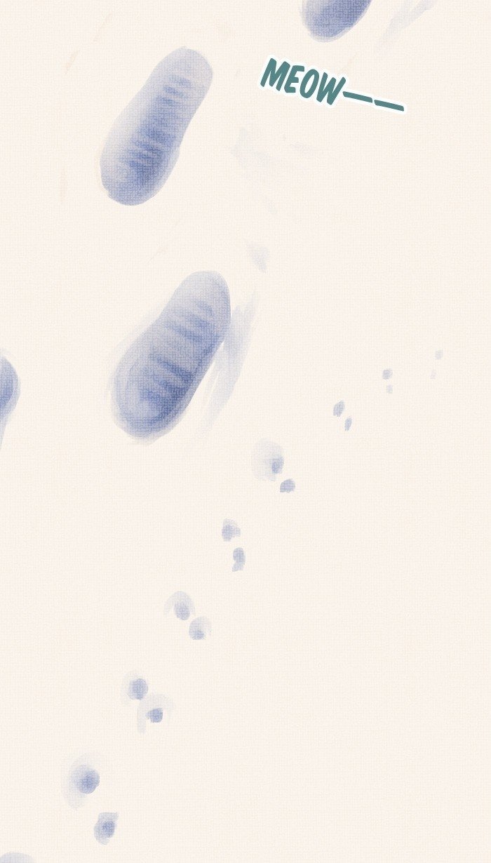 little rain chapter 12.5 40