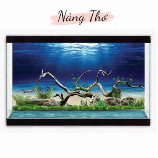 Decal dán hồ cá 3D