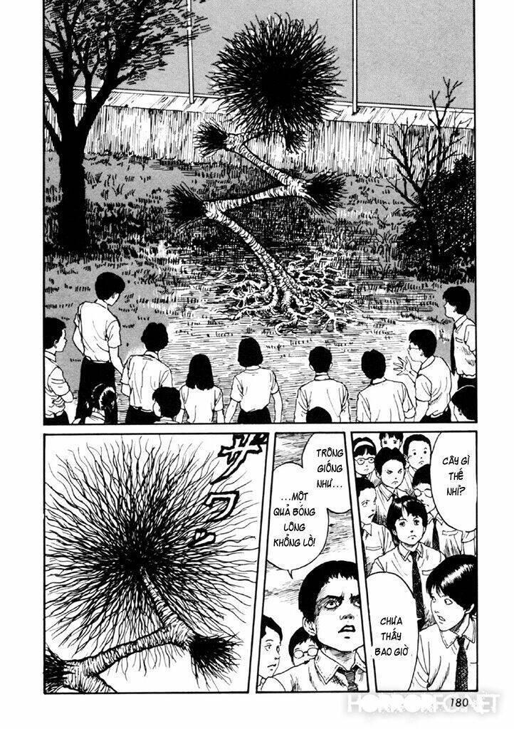 tuyển tập truyện ngắn kinh dị của ito junji chapter 14.4 46