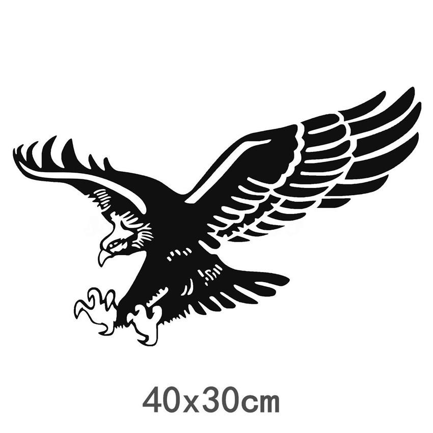 Decal Hình Đại Bàng Dán Xe