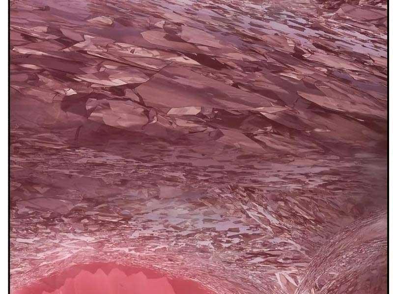 Gậy Gỗ Cấp 99+ chapter 82.2 85