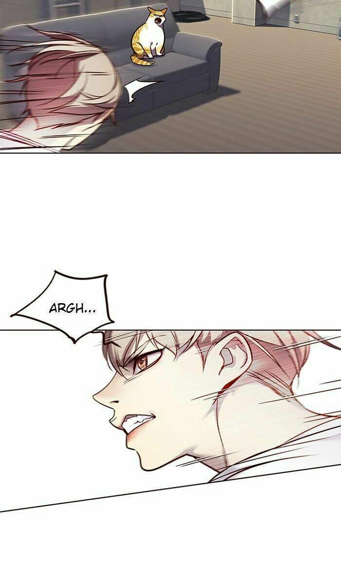 biến thân thành mèo chapter 59 41